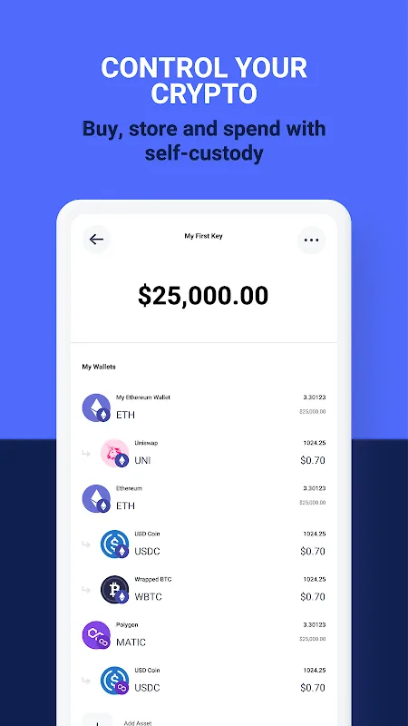 BitPay 1