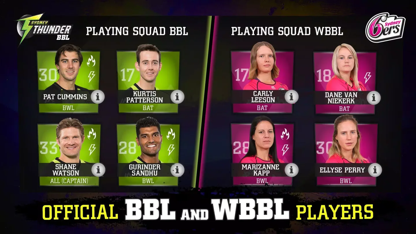 Big Bash Cricket 4