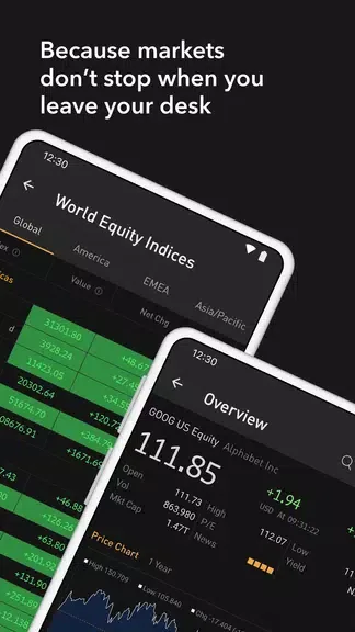 Bloomberg Professional 2