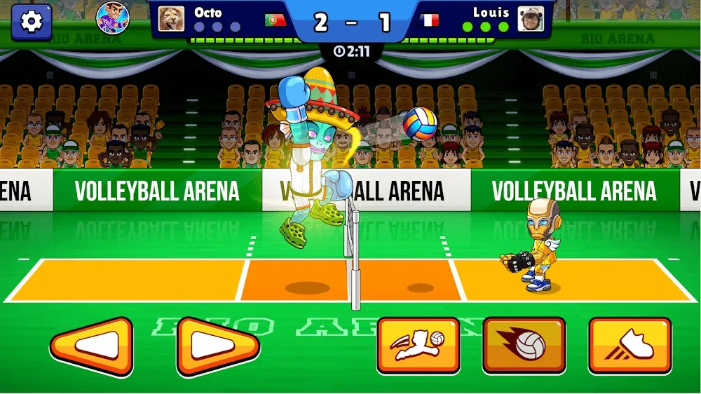 Volleyball Arena 4