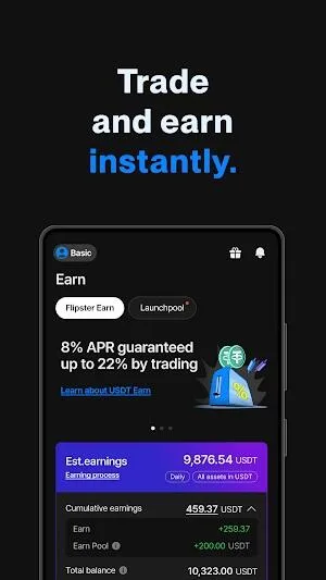 Flipster 1