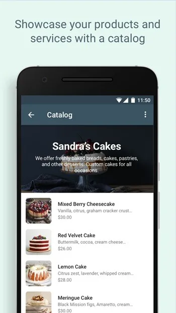 WhatsApp Business 3