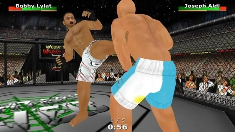 Weekend Warriors MMA 4