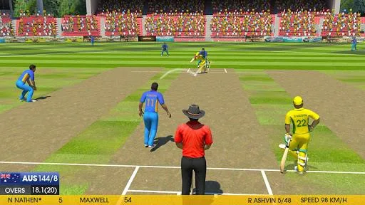 Real World Cricket 18: Cricket Games 3