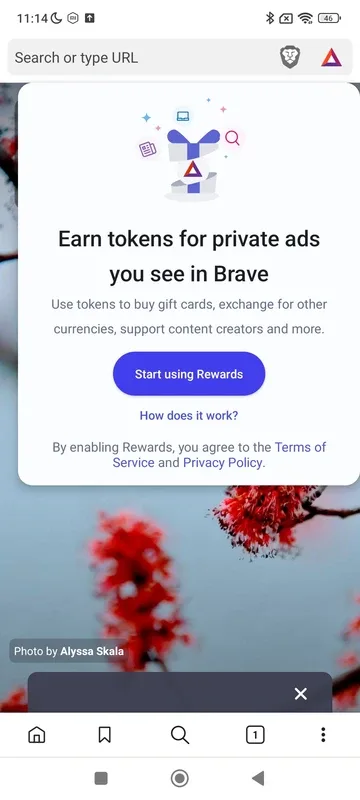 Brave Private Web Browser, VPN 1