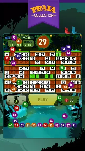 Video Bingo Ubatuba 1