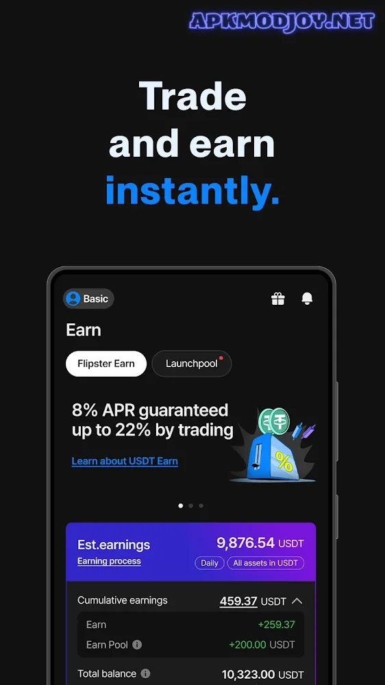 Flipster 4