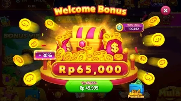 RVIP2 4
