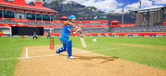 Dream Cricket 2025 4
