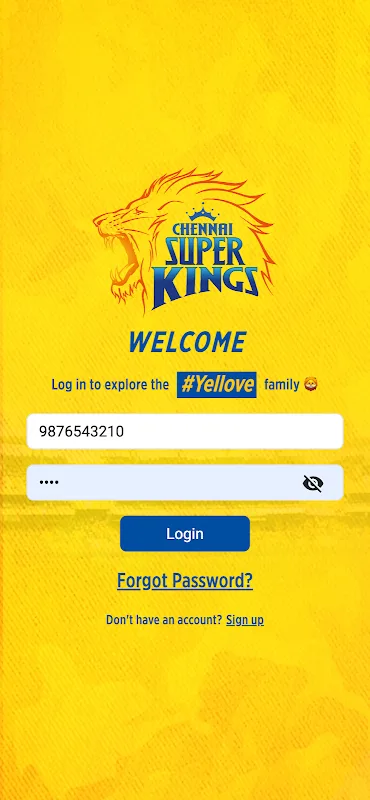 Chennai Super Kings 3