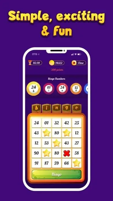 Bingo Mania 4