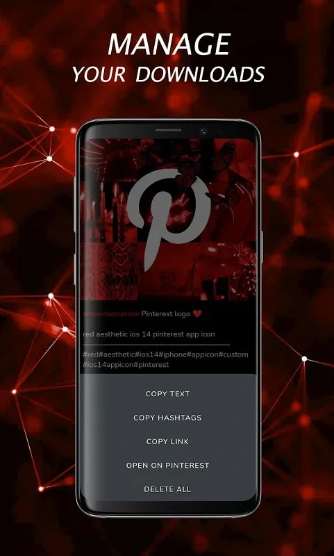 Pinterest Video Downloader 1